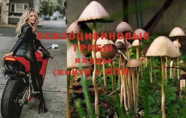 дистиллят марихуана Богородск