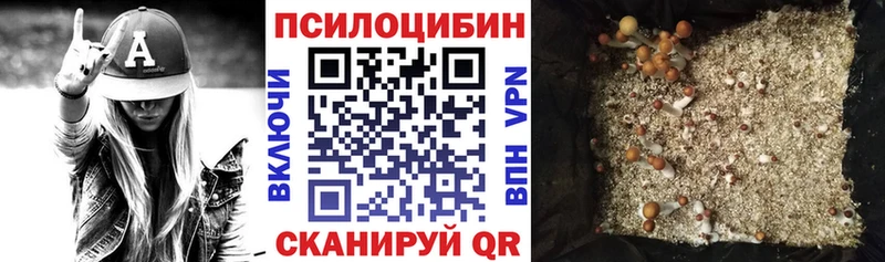 гидра рабочий сайт  Михайлов  Псилоцибиновые грибы ЛСД 